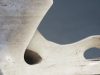 O’Keeffe albo Moore