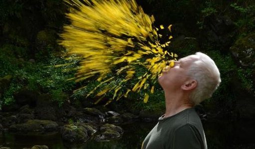 Andy Goldsworthy, pierwotne piękno