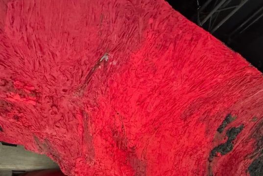 Anish Kapoor w Hayward Gallery